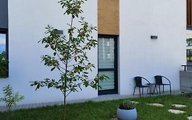 Apartament Sosnowa